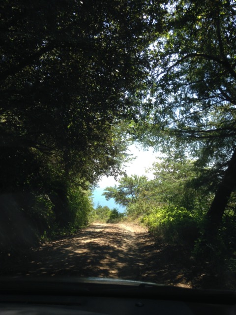 Children's Cold Formula